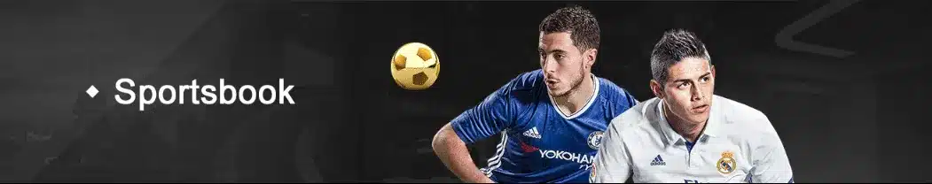 Overview of Sport Betting