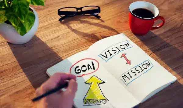 Vision and goals
